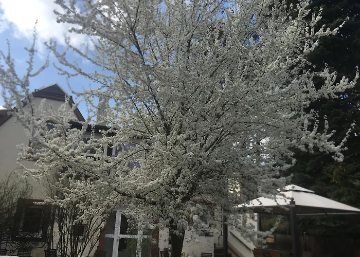 Burg 2 * Drážďany